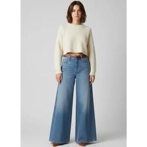 J Crew Womens High Rise Super Wide Leg Jeans Size 30 Medium Blue Wash